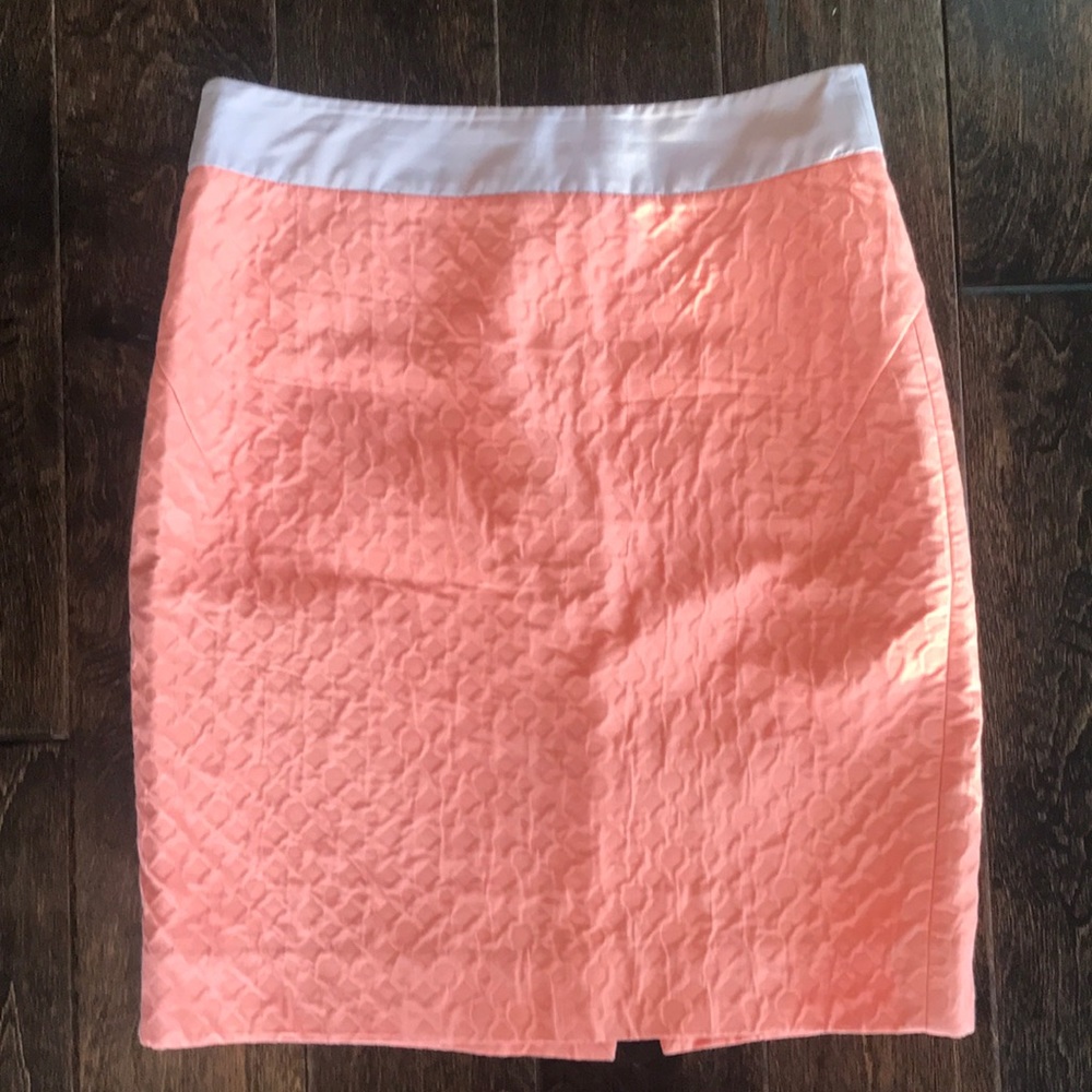 J Crew skirt